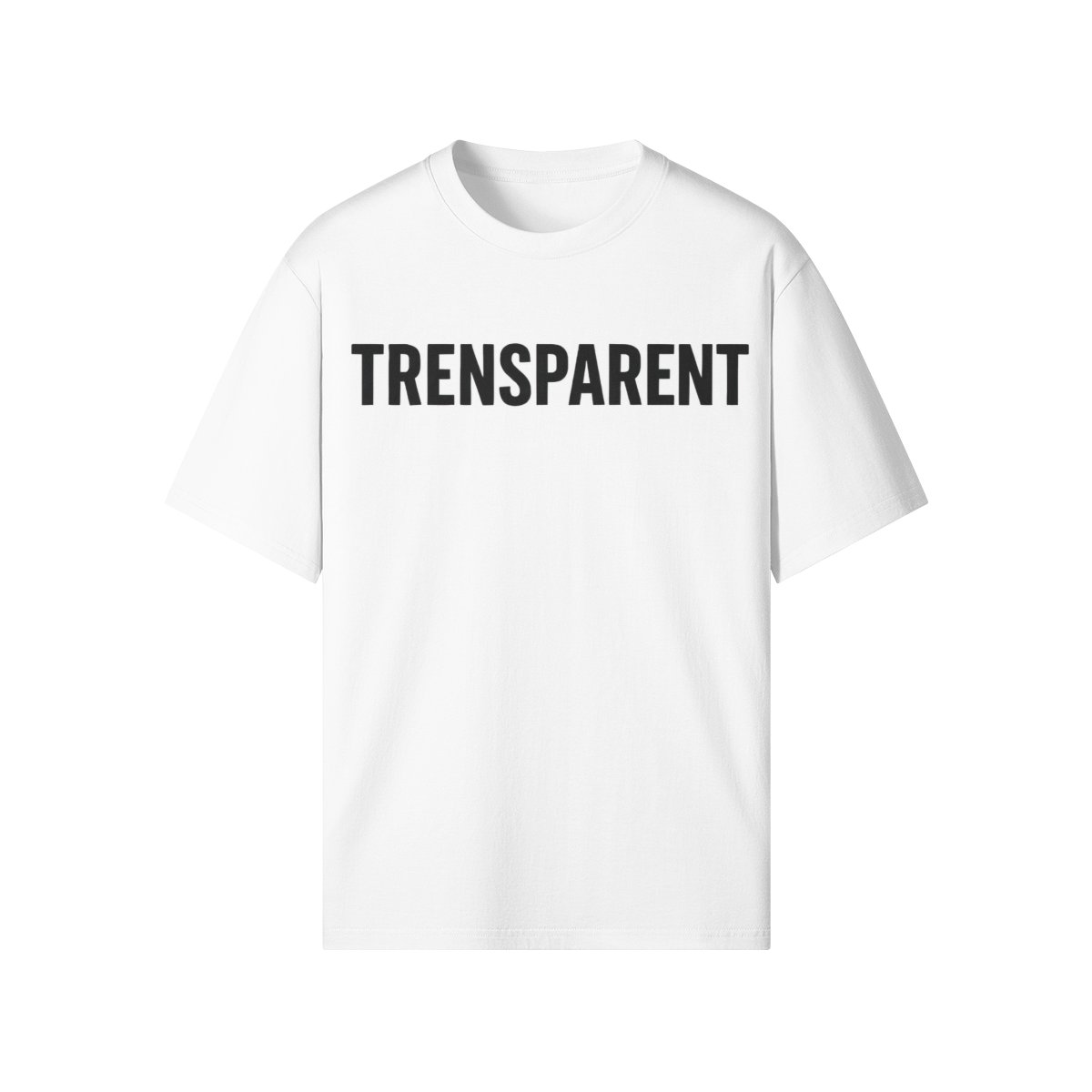 AYKONS [220] Trensparent Tee regular fit - colorway 2 Front Side